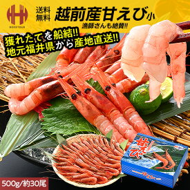 甘エビ 甘えび 子なし 小 Sサイズ 刺身 生食 内容量選択 500g 1kg 冷凍 越前甘エビ 福井県 福井県産 産地直送 送料無料 ギフト