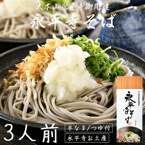  i 3lO  t ipB   yY Mtg