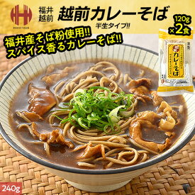 そば 蕎麦 越前そば 越前 カレーそば 2食入り 半生 つゆ付き 福井 お土産 贈答 ギフト