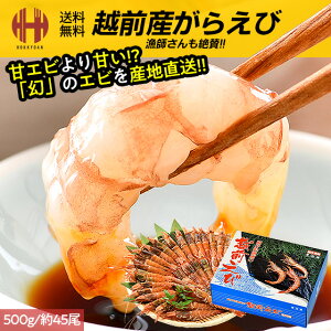 _|Cg2{N[|3OFFW`XI^ KGr 炦 Gr eʑI 500g 1kg K}Gr KTGr TGr hg Ⓚ zOY 䌧 䌧Y Yn  Mtg 