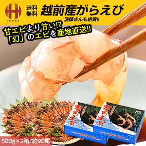 _Si|Cg2{I^ KGr 炦 Gr eʑI 500g 1kg K}Gr KTGr TGr hg Ⓚ zOY 䌧 䌧Y Yn  Mtg