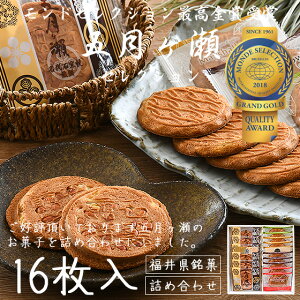 ܌ ZNV 16i܌6ACV[Y10j  Mtg Ε Ε