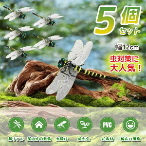 ySS蔼zzyȈՕ Ƃ A ͌^g{ { g 12cm tȒP 悯    x  ͌^ oR Lv ނ ߕ Ȃ g{ hpi h
