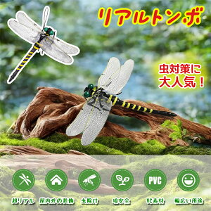 ySS蔼zzyȈՕz Ij}v Ƃ A ͌^g{ Ki { g 12cm tȒP 悯    x  ͌^ oR Lv ނ ߕ 