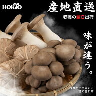 ★レビュー特典あり★【予約販売】《数量限定》産地直送 採れたて 生 きのこ 詰め合わせセット 【クール…