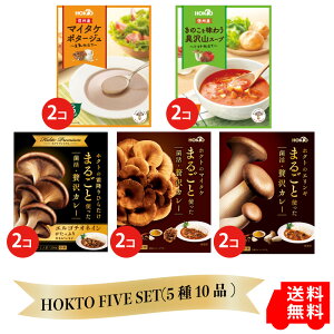 HOKTO FIVE SET(510i) ( zNg A[f gg Hi lߍ킹 lߍ  Ԃ  j j ̂J[ GMJ[  ~Ђ炽 ggJ[ ̓ ̓ 