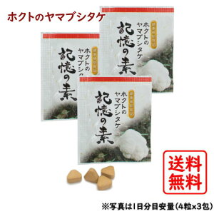 y1000~|bLz7ԂZbg }uV^PuL̑fv21 zNg Tv R }uV ܂Ԃ LmR ̂ ۊ NHi Tvg Tv L΍ Y W