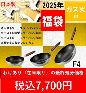 ǧ镟܁@LXgS@F4Zbg tCp20cmE[^tCp24cmEtCp26cm A~ y  tCp KXΐp LXg et v`i тɂ w