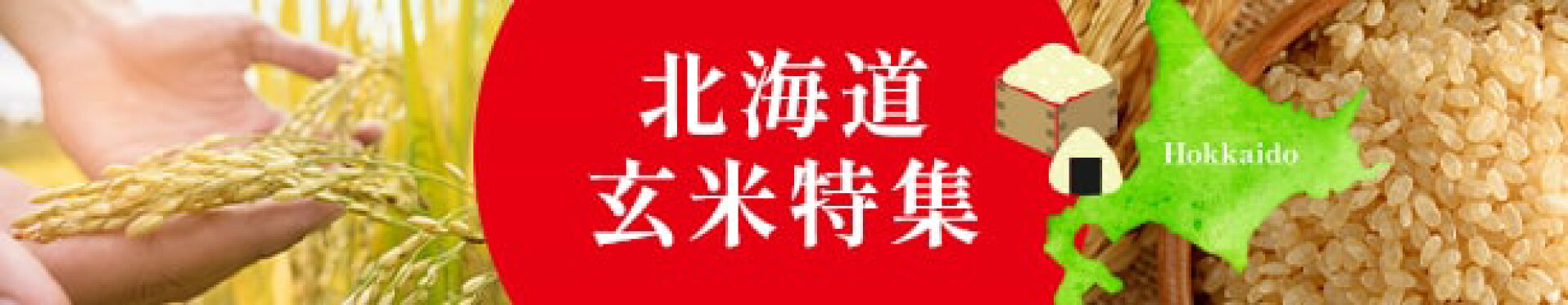 玄米特集