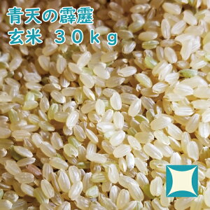 V  30kg ߘa7NY XYiĂ̂ւꂫjꓙ [dʏiɂΏۊO]