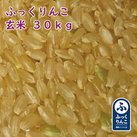 北海道産 ふっくりんこ 玄米 30kg 産地サミット品 令和5年産 1等米 北海道米 [重量商品につき送料無料対象外]