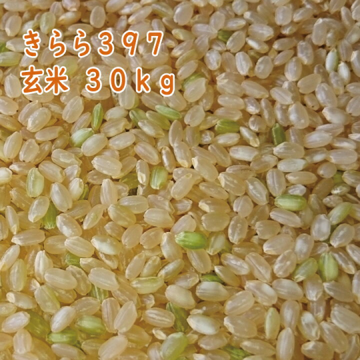 楽天市場】北海道産 きらら397 玄米 30kg 令和6年産 一等米 [重量商品 