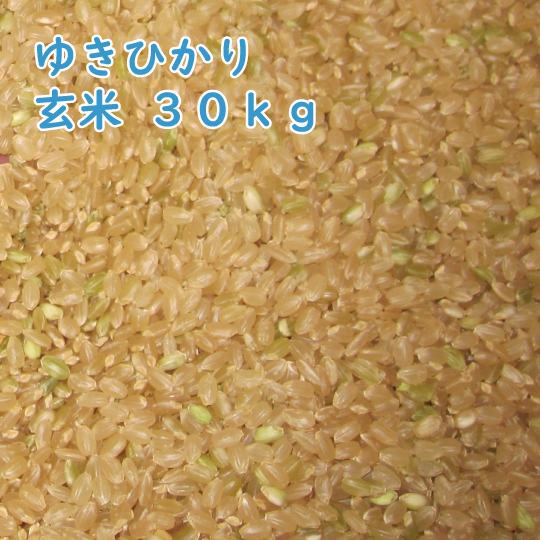 玄米30kgの通販・価格比較 - 価格.com