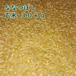 yVāzy݁Az̓ʍ͔|ĂŏoׁzkCY ȂȂڂ  30kg ߘa7NY ꓙ A [nʑKp^dʏiɂΏۊO]