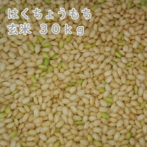 楽天市場】もち米 玄米 30㎏の通販