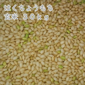 北海道産 はくちょうもち 玄米 30kg 令和5年産　一等米 もち米 糯米 北海道米 農協米　[重量商品につき送料無料対象外]