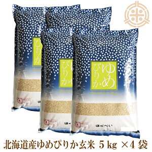 ߘa7NY YESIcleaniCGXN[j߂҂肩  20kgi5kg×4j kCY ꓙ 敪 F؃}[N ^pbNΉ