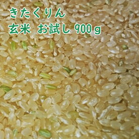 お試し玄米 北海道産 きたくりん 900g 玄米 令和5年産 農薬節減米 北海道米　一等米　メール便 送料無料