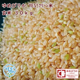 YES!クリーン米 北海道産 ゆめぴりか 玄米 30kg 令和5年産　第一区分　一等米　イエスクリーン（YES！clean）農協米 [重量商品につき送料無料対象外]