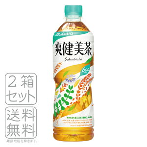 RJER[ u 600mlPET×24{×2 iEj