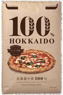 送料無料（沖縄・離島を除く）100％HOKKAIDO ピッツァ用粉 20kg 江別製粉 北海道産 国産 強力粉 小麦粉 …