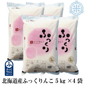 ߘa7NY kCY ӂ YnT~bgFi 20kg i5Kg×4܁j  ^pbNΉ