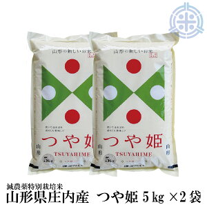 ߘa7NY R`Y P 10kg   (5kg×2)   10L ʍ͔| āyyMt_zyyMt_̂z