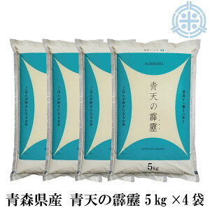 ߘa7NY XY V 20kg  (5kg×4) ^pbNΉ   