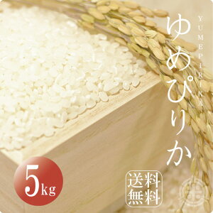 yVāzkCY  ߂҂肩 5kg   ߘa7NY     Ԃł[ՃCXI