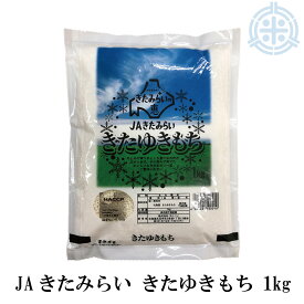 北海道産 きたゆきもち 1kg 令和6年産 レターパックプラス便 送料無料 もち米1kg 北海道米 糯米 お試しサイズ 1キロ