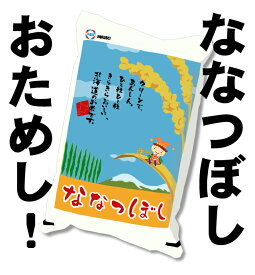 令和5年産 北海道産 ななつぼし 精米 白米 お試しパック3合（450g）北海道米 メール便送料無料 ポイント消化 ポイント消費 少量