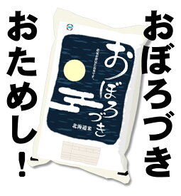 令和5年産　北海道産 おぼろづき 精米　お試しパック3合（450g）北海道米　低アミロース米　メール便送料無料　ポイント消化　ポイント消費