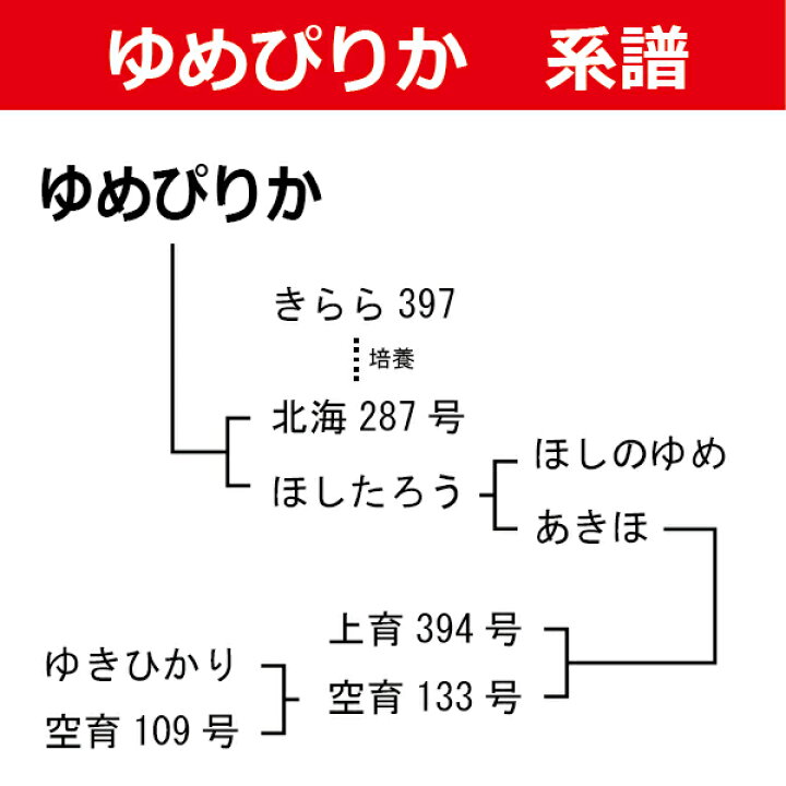 楽天市場 新米 令和４年産 ゆめぴりか A次品 玄米 ３０kg 北海道産 第一区分s 一等米 A次 北海道米 食味ランキング 特ａ受賞 重量商品につき送料無料対象外 ほくべい
