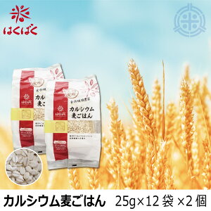 JVE͂@600gi25g×12܁j×2@Y唞 ͂΂ ^[pbNvX