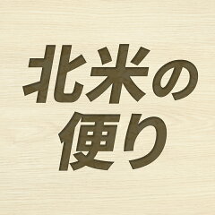 北米の便り