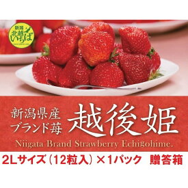 【送料無料】 のし対応 ギフト 越後姫いちご 新潟県産 2Lサイズ(12粒)×1パック 贈答箱 イチゴ 果物 贈り物 お祝い 苺 母の日 プレゼント 御祝い 産直 えちごひめ スイーツ