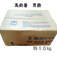 種芋 じゃがいも 男爵 約10kg 馬鈴薯 タネイモ ダンシャク ガーデニング 野菜 菜園