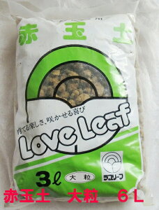 ԋʓy@嗱@6L