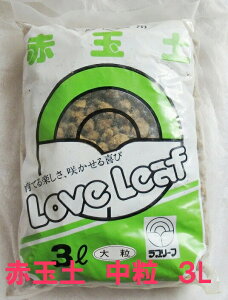 ԋʓy@@3L