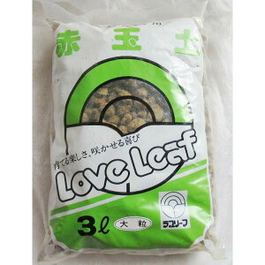 ԋʓy@@3L