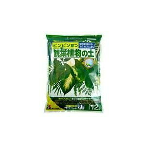 |{y Ԃ ϗtA̓y 12L K[fjO