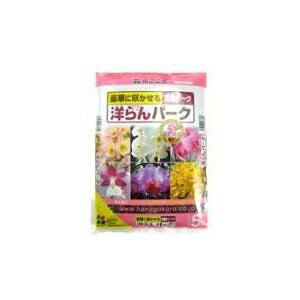 |{y Ԃ mo[N 5L K[fjO y