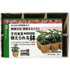 yz TJ^̃^l WtB[Xgbv p^8cm 6A 4 ̂܂ܐA锫