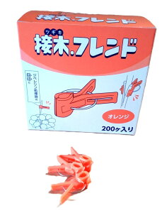 ږ؃th Zȗp 200 IWF c E ڂ