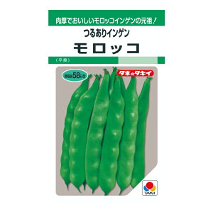 ^LCc 邠CQ bR GF45ml ؂̃^l