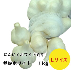 yzjjN zCgZ nzCg 1kg XY ɂɂ 틅 LTCY Y ͔| At