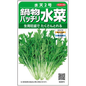 TJ^̃^l  V2 2000 ؃^l t q 畨ob`