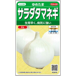 TJ^z T_^}lM ߂ 250 ؃^l t q ʂ˂ ʔK ʃlM TJ^̃^l