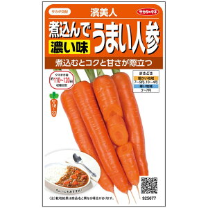 TJ^z ܂lQ _l 400 ؃^l  q lQ ύŔZ