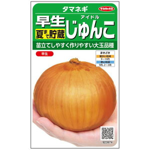 TJ^̃^l ^}lM ACh 300 ؃^l t q ʂ˂ ʔK ʃlM ܂˂